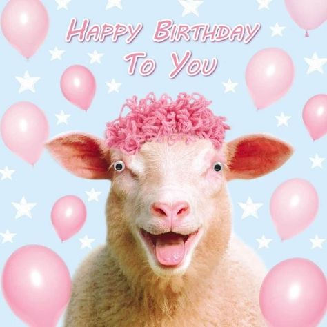 Happy Birthday 3d, Funny Sheep, Pink Sheep, Moving Eyes, Card Happy Birthday, Birthday Meme, Birthday Images, Happy Birthday To You, Birthday Quotes