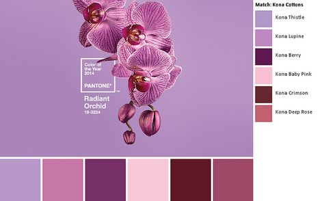 Pantone 2014 Radiant Orchid Kona palette | Flickr - Photo Sharing! Heart Quilts, Rustic Modern Wedding, Purple Cards, Orchid Color, Orchid Purple, Radiant Orchid, Theme Color, Design Seeds, Purple Orchids