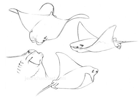 Beautiful cownose ray sketches Simple Manta Ray Drawing, Manta Ray Reference, Cownose Sting Ray Tattoo, Cownose Stingray Tattoos, Simple Stingray Drawing, Bat Ray Tattoo, Manta Ray Doodle, Stingray Tattoo Simple, Stingray Sketch