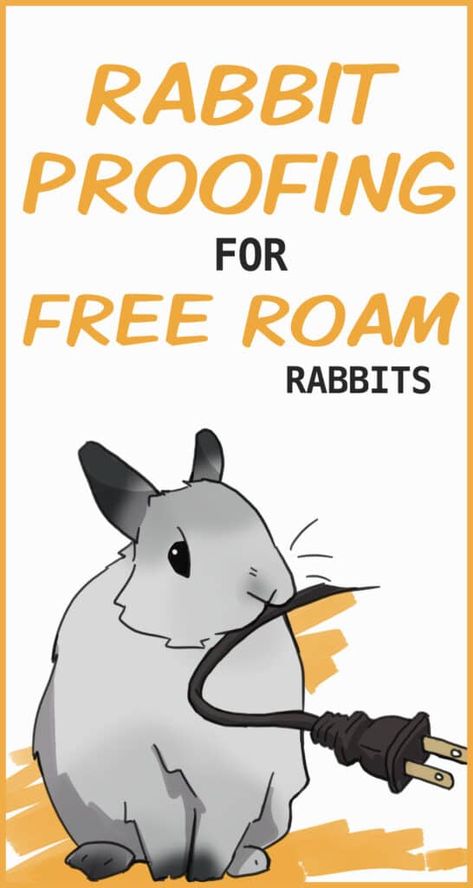 Free Roaming Bunny, Rabbit Set Up Indoor Free Roam, Diy Rabbit Playground, Rabbit Playground Indoor, Diy Rabbit Hidey House, Rabbit Free Roam, Bunny House Indoor Diy, Bunny Free Roam, Bunny Cage Setup