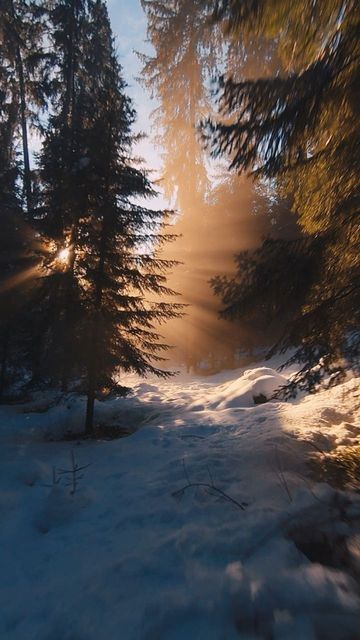 Flo.FPV on Instagram: "🌲❄🌄 Winter brings a magical silence to the forest, 🌲 time seems to stand still. Do you like winter? #snow #winter #sunset #forest #beautifulnature #sunbeams" Winter Nature Aesthetic, Winter Forest Photography, Snow Forest Aesthetic, Aris Maze Runner, Magic Winter Forest, Wintery Forest, Book Locations, Forest In Winter, Magical Snow Forest