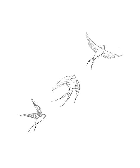 5 Birds Tattoo, Birds On A Line Tattoo, Line Bird Tattoo Simple, House Martin Tattoo, Purple Martin Bird Tattoo, Fine Line Bird On Branch Tattoo, Tattoo Ideas Birds, 3 Bird Tattoos For Women, 3 Little Birds Tattoo