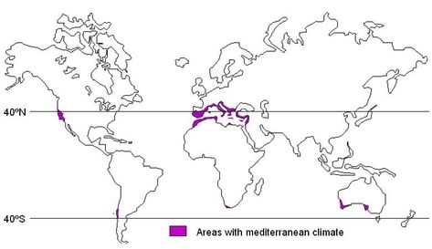 Climate Map, Mediterranean Climate, Continents And Oceans, Climate Zones, Physical Geography, Garden On A Hill, Plant Life Cycle, World Geography, California Coastal