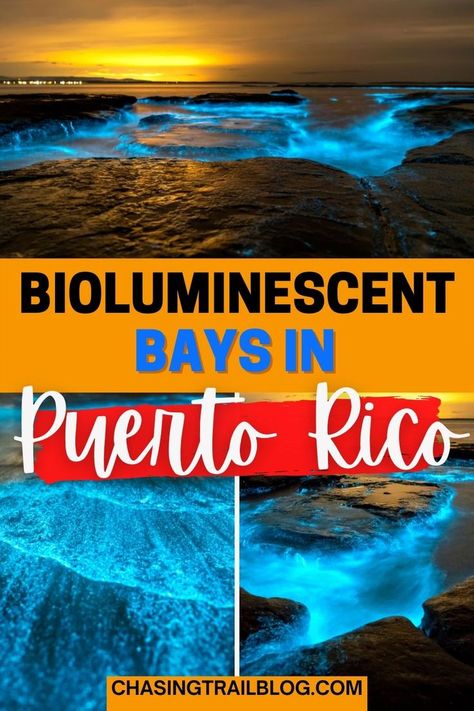 Three photos of bio bays, an orange rectangle, and red rectangle with the words "Bioluminescent bays in Puerto Rico" and "chasingtrailblog.com" Puerto Rico Luminescent Bay, Bio Luminescence Puerto Rico, Bioluminescent Puerto Rico, Bio Bay Puerto Rico, Puerto Rico Bioluminescent Bay San Juan, Bioluminescence Bay Puerto Rico, Puerto Rico Glowing Water, Bioluminescence Puerto Rico, Bioluminescence Beach Puerto Rico