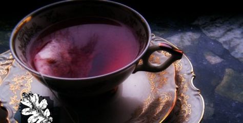 What Is Purple Tea, Why Is It Healthy And Where Can I Get It? Kenyan Tea, Purple Tea, Chocolate Protein Bars, Healthy Pantry, Kinds Of Beans, Tea Varieties, Chocolate Protein, White Tea, Tea Leaves