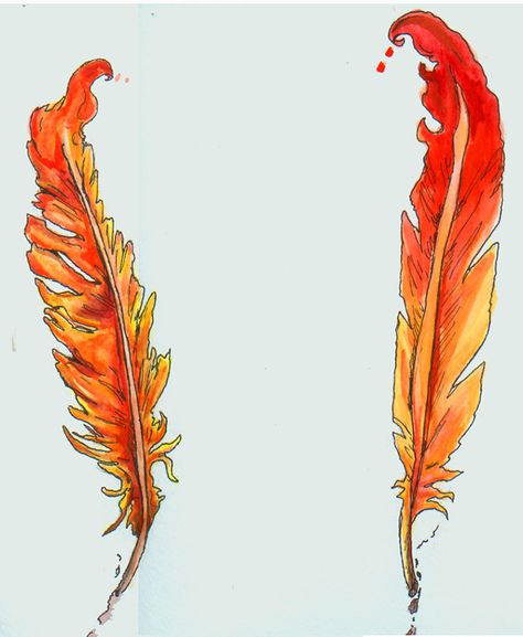 Phoniex Feather Designs by intrepidThrough.deviantart.com Pheonix Feather Drawing, Phoenix Feather Drawing, Phoenix Feather Tattoo, Phoenix Feathers, Phoenix Bird Tattoos, Tattoo Hip, Phoenix Feather, Feather Drawing, Watercolor Feather