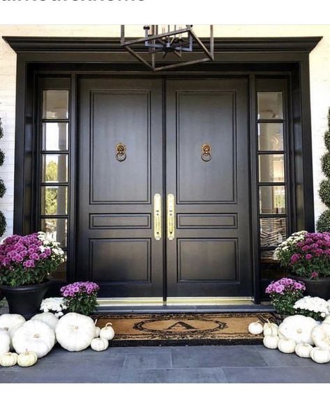 Victorian Front Doors, Luxury Living Room Decor, Victorian Door, Inside Decor, Wrought Iron Doors, Entrance Door Design, Main Door Design, Front Entry Doors, Front Door Colors