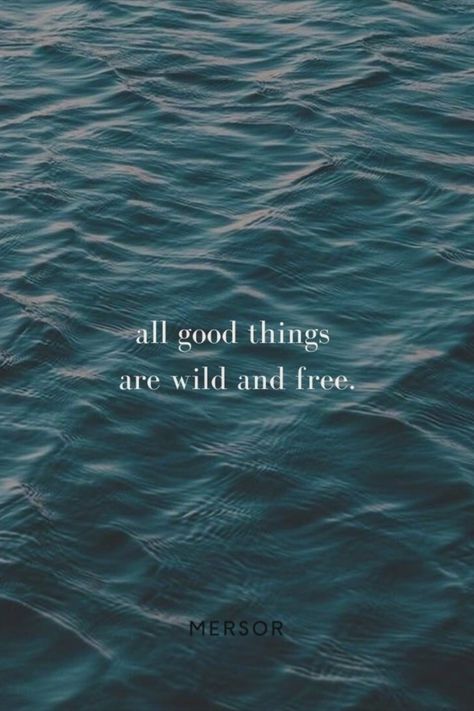 All good things are wild and free - that's our quote of the day. We love motivational and inspirational qutes. Find more of them on our profile! Quote | Zitat | Inspiration | Quote for Life | Good Vibes | Summer | Ocean | blue Beach Walking Quotes, Summer Blues Quotes, Free As The Ocean Quotes, Find Me Where The Wild Things Are, Ocean Blue Quotes, Ocean Vibes Quotes, All Good Things Are Wild And Free, Ocean Inspired Quotes, All Good Things Are Wild And Free Tattoo