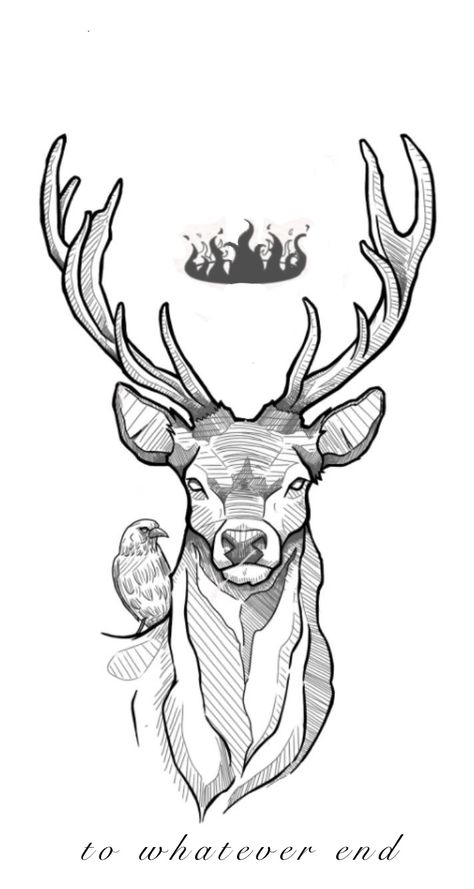 Elk Line Art, Stag Skull Drawing, Buck Tattoo Design, Deer Hunting Drawing, Drawing Of Deer, Buck Drawing, Dear Drawing, Stag Drawing, Buck Tattoo