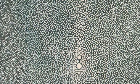 Shagreen Sheet (NA1409) 2000x1200 Wallpaper, Alexander Lamont, Faux Shagreen, French Style Homes, Faux Painting, Paint Effects, Wallpaper Designs, Wallpaper Pictures, Colonial Style