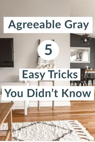 Agreeable Gray Sherwin Williams Kitchen, Agreeable Grey Color Scheme, Gray Paint Colors Sherwin Williams, Agreeable Gray Sherwin Williams, Greige Paint Colors, Agreeable Gray, Farmhouse Paint Colors, Easy Tricks, Neutral Paint Colors