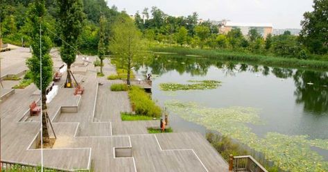 Wetland Park, Urban Landscape Design, Pavilion Design, Entrance Gates Design, Architecture Concept Drawings, Landscape Architecture Design, Urban Park, Garden Park, Lake Park