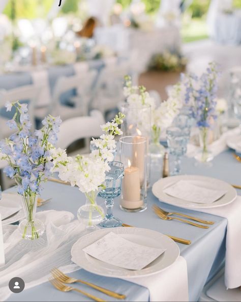 Blue And White Wedding Reception, White Wedding Reception, Baby Blue Weddings, Blue And White Wedding, Light Blue Wedding, Blue Themed Wedding, Blue Wedding Flowers, Dusty Blue Weddings, Wedding Theme Colors