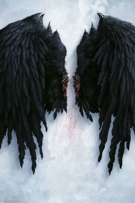 life teaches, love reveals. Demon Aesthetic, Wings Wallpaper, Black Angel Wings, Creature Fantasy, Angel Wallpaper, Ange Demon, Odaiba, Black Angels, Lucifer Morningstar