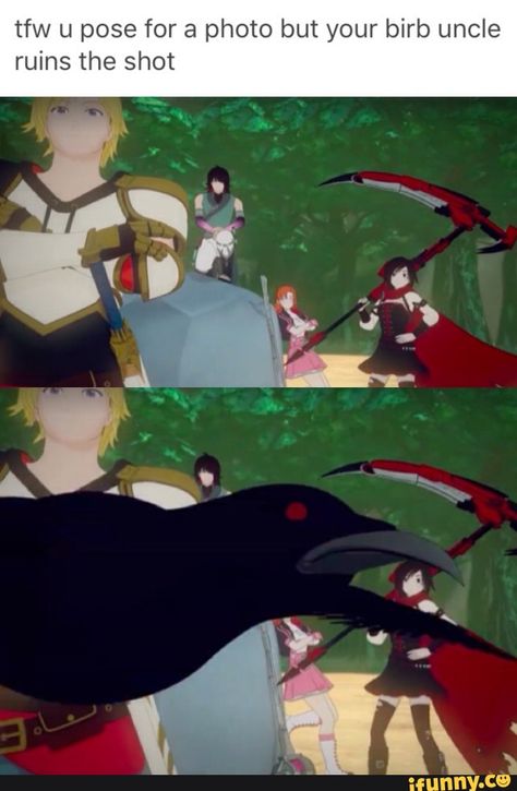 rwby, rwbyvolume4 You could say, that's bad luck...... Yang Rwby, Rwby Volume 1, Rwby Qrow, Team Jnpr, Qrow Branwen, Rwby Funny, Rwby Volume, Bird Cartoon, Rwby Memes