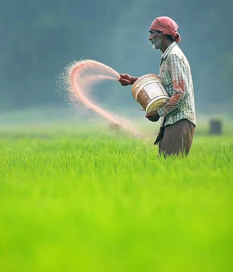 A day in the life of a farmer. Agriculture Pictures, Farmer Painting, Agriculture Photography, Agriculture Photos, Farmers Day, Blur Image Background, Beautiful Eyes Images, Shutter Photography, Farm Paintings