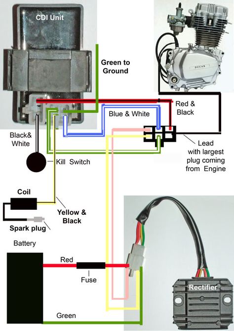 Engine wiring help - DIY Go Kart Forum Go Kart Engines, Motorcycle Wiring, Go Kart Plans, Basic Electrical Wiring, Car Ecu, Motorcycle Workshop, Motor Mobil, Diy Go Kart, Electrical Circuit Diagram