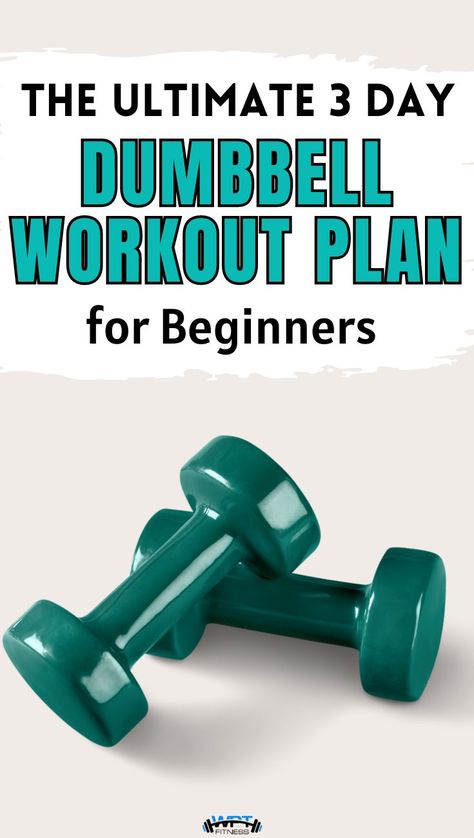 Dumbell Workout Plan, Beginner Dumbell Workout, 3 Day Workout Plan, Building Muscle At Home, Day Workout Plan, Dumbbell Workout Plan, Beginner Gym, 3 Day Workout, Muscle At Home