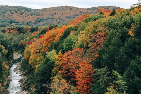 Quechee Gorge Vermont, Quechee Vermont, Vermont Trip, Stick Season, Woodstock Vermont, England Trip, New England Fall, Ready For Fall, Future Life