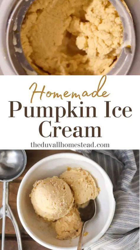 Homemade Pumpkin Ice Cream (Without Heavy Cream Option) - The Duvall Homestead Ice Cream Without Heavy Cream, Homemade Pumpkin Ice Cream, Homemade Bone Broth, Cinnamon Pumpkin, Pumpkin Ice Cream, Pumpkin Squash, Fermented Vegetables, Pumpkin Spice Syrup, How To Make Pumpkin