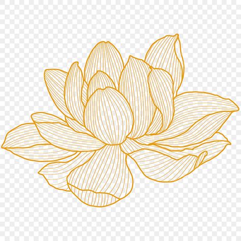 Lotus Flower Graphic Design, Lotus Flower Clipart, Lotus Vector Design, Lotus Graphic Design, Waterlily Illustration, Lotus Animation, Lotus Flower Art Design, Lotus Line Drawing, Lotus Flower Line Art