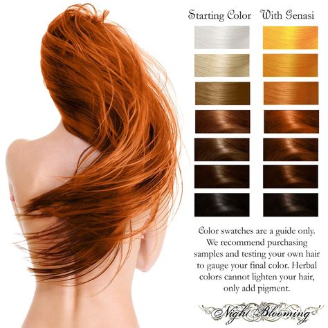 Hair Dye Ginger, Red Hair Fade, Blonde Henna, Dark Blue Hair Dye, Red Henna Hair, Natural Hair Color Dye, Fire Genasi, Henna Hair Dye, Henna Hair Color