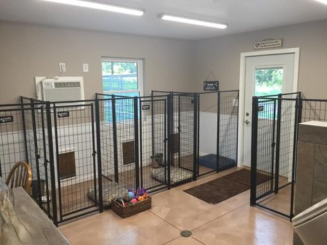 Dog Room Ideas With Kennels, Dog Room Kennel, Dog Room Ideas For Big Dogs, Dog Grooming Salon Reception Area, House With Dog Room, Dog Room With Kennels, Custom Built Dog Kennels, Dog Room Layout, Dog Room Kennel Ideas