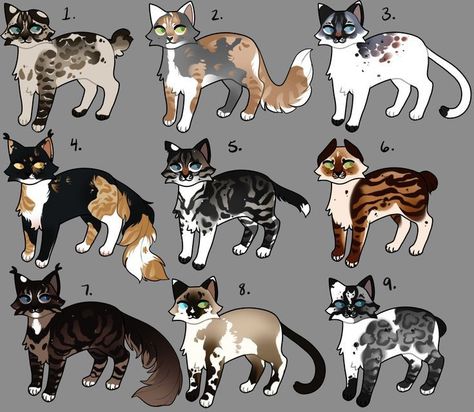 Warrior Cat Design Ideas, Warrior Cat Names, Cats Art Drawing, Warrior Cats Fan Art, Warrior Cat Drawings, Warrior Cat Oc, Cat Oc, School Tomorrow, Warriors Cats