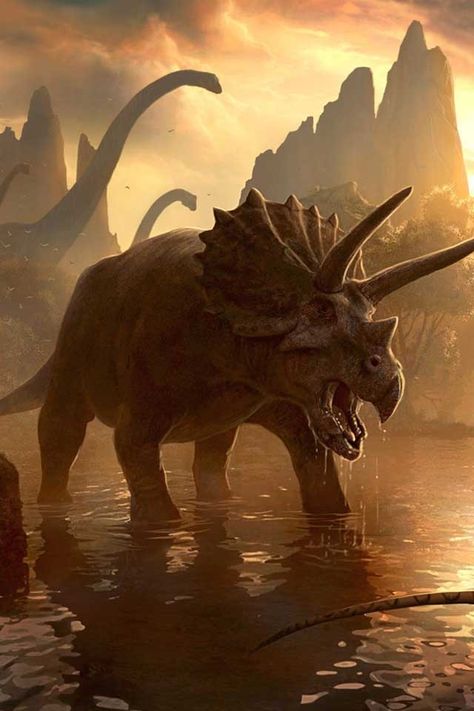 Triceratops. Dinosaurs Extinction, Prehistoric Wildlife, Prehistoric Dinosaurs, Dinosaur Wallpaper, Dinosaur Images, Dinosaur Pictures, Dinosaur Illustration, Prehistoric World, Jurassic World Dinosaurs