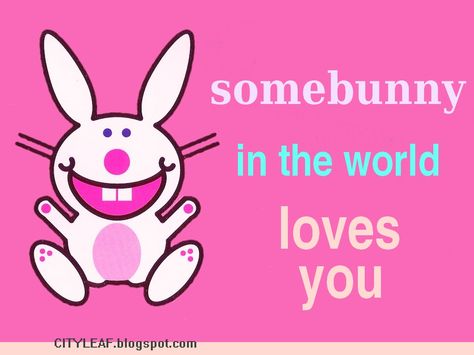 Happy Bunny Quotes, Bunny Quotes, Somebunny Loves You, Bunny Aesthetic, Happy Bunny, Bunny Bunny, Scene Emo, Monkey Business, I Luv U