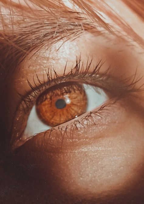 Cognac Brown Eyes, Aesthetic Brown Eyes, Dark Brown Eyes In Sunlight, Eyes In Sunlight, Brown Eyes Women, Cognac Eyes, Brown Hair In Sunlight, Chestnut Brown Eyes, Brown Eyes Boy