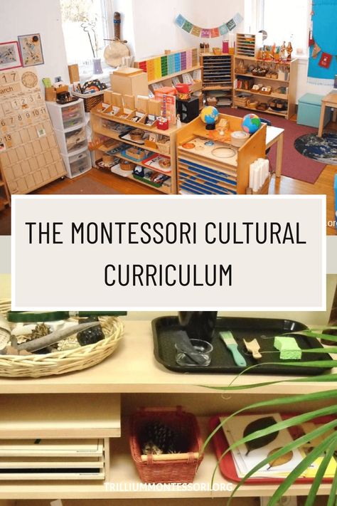 The Montessori cultural curriculum includes lessons on geography, botany, zoology, science, art, and music. Montessori Cultural Shelves, Montessori Categories, Montessori Science Shelf, Montessori Preschool Curriculum, Montessori Science Activities, Montessori Culture, Montessori Activities Preschool, Montessori Kindergarten, Homeschool Montessori