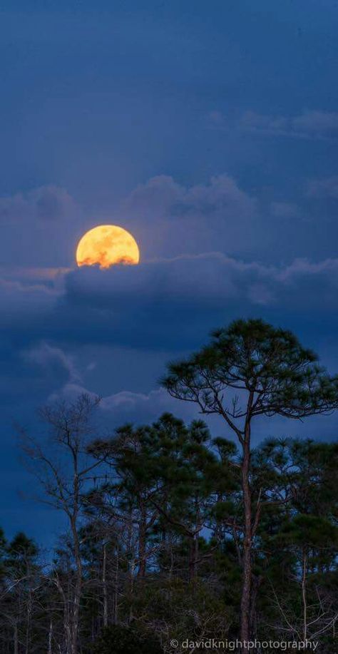 Moon Sea, Night Sky Art, Blessed Night, Moonlight Photography, Moon Clouds, Moon Pictures, Moon Photography, Galaxy Painting, Photography Prints Art