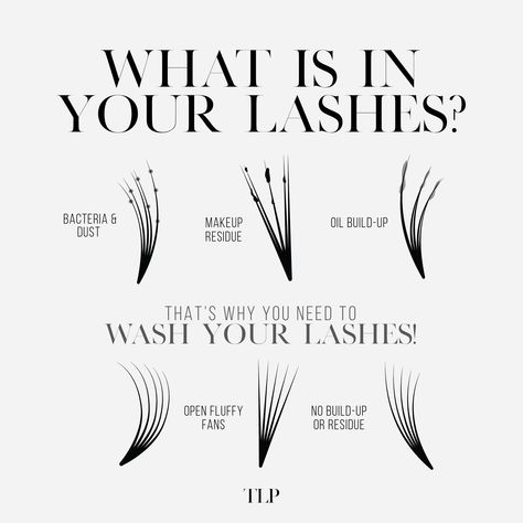 What is in your lashes?! 😳🫢 There is bacteria, dust, makeup residue, and oil build-up all in your lashes!! So they need to cleaned!! 🧼🫧 If not cleaned, your lashes won’t look as fresh and fluffy. Also, it affects your retention as well. 🫤 Not what you want!! #lashtips #lashaftercare #lashtech #lashartist #lashextensions #lashcare Lash Bath Aesthetic, Clean Your Lashes, Educational Lash Posts, Lash Cleaning, Lash Educational Post, Lash Retention, Clean Lashes, Wash Your Lashes, Lash Retention Tips