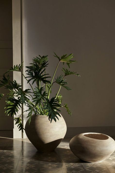 We’re so incredibly excited to introduce the SS23 collection, Notable Moments, by ferm LIVING. Inspired by the contrasts of life, this new line seamlessly blends art and design to create beautiful, authentic, and distinctive pieces. Dna Aesthetic, Cement Design, Potted Plants Outdoor, Interior Plants, Decoration Inspiration, Large Plants, Ferm Living, Small Trees, Indoor Plant