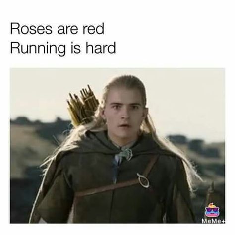 They're taking the hobbits to Isengard! Taking The Hobbits To Isengard, Lotr Funny, Anne Taintor, 9gag Funny, Into The West, Meme Comics, Roses Are Red, Movies And Series, Thranduil