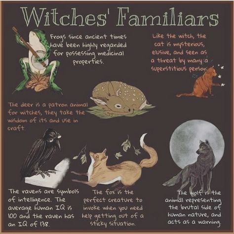 @mysticwitchofthemoon on Instagram: “Some more common familiars🐈 Credit- @coventum . . #witchy #witchesofinstagram #wiccansofinstagram #witchlife #witch #witchcraft #wicca…” Witches Familiar, Magia Das Ervas, Wiccan Magic, Witch Spirituality, Grimoire Book, Wiccan Witch, Eclectic Witch, Wiccan Spell Book, Witchcraft Spell Books