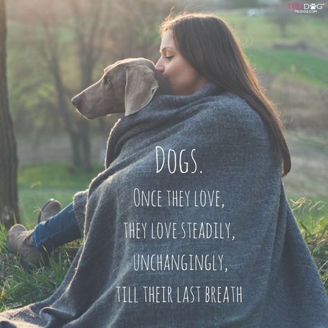 Dog Quotes Love, 3 Dogs, Last Breath, Brother Quotes, Dog Rules, Dog Obedience, Dog Training Obedience, Weimaraner, Animal Quotes