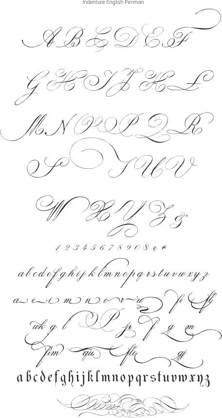 flourish Alphabet Fonts Tattoo Design, Cursive Script Alphabet, Caligraphy Alphabet Flourish, Flourishes Calligraphy Alphabet, D Calligraphy Letter, Flourish Calligraphy Alphabet, Cursive Fonts Alphabet, Calligraphy Letters Alphabet, Alfabet Font