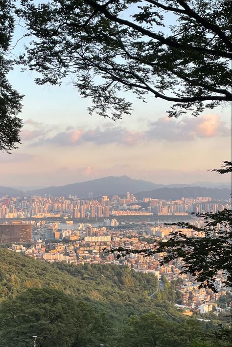 Seoul, South Korea, Korea, travel, summer, world, explore, buildings, trees, city, city life, sunset, view, mountains, location Korea Visualization, Seoul In Summer, Seoul Mountains, City View From Mountain, Suwon South Korea, South Korea Summer, Summer In Seoul, Seoul Sunset, Korea Mountain