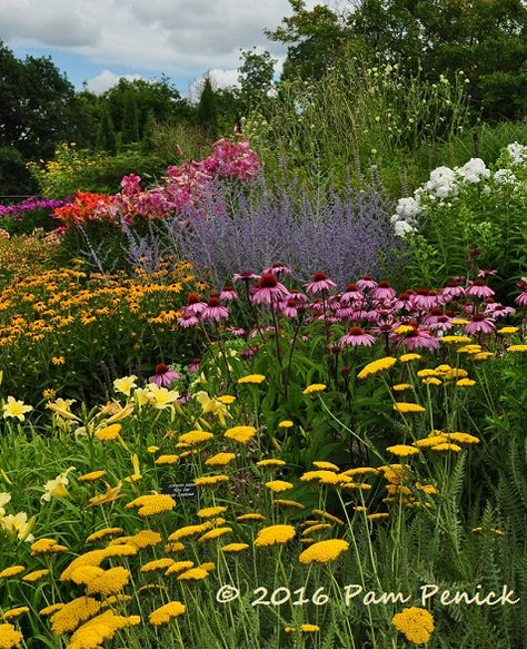 Minnesota Garden, Pollinator Garden Design, Native Plant Landscape, Minnesota Landscape, Minnesota Landscaping, Garden Design Layout, Flower Garden Design, Garden Artwork, Pollinator Garden