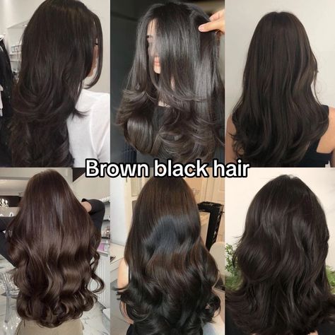 Brown Black Hair Color, Cute Back To School Hairstyles, Fun Braids, Twisted Braids, Best Haircuts For Women, Brown Black Hair, Getting Ready In The Morning, Dark Brunette Hair, Brown Hair Looks