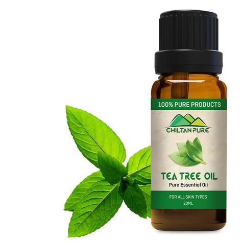 Chiltan Pure Tea Tree Oil is extracted from the Melaleuca alternifolia plant, which grows throughout Australia. Tea Tree Oil Soap, Tea Tree Oil Uses, Australian Tea Tree, Home Remedies For Acne, Melaleuca Alternifolia, Acne Remedies, Tea Tree Essential Oil, Oil Uses, Cosmetic Products