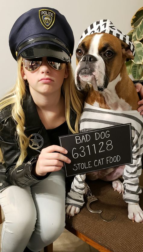 Service Dog Halloween Costumes, Dog Police Costume, Costume Ideas With Your Dog, Costume To Do With Your Dog, Dog Prisoner Costume, Firefighter Dog Costume, Funny Dog Costumes With Owner, Cow Dog Costume, Costume Dog And Owner