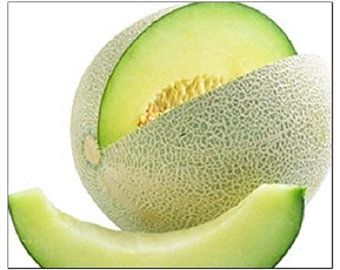 Melon Plant, Honeydew Green, Heirloom Garden, Fragrance Oil Burner, Green Melon, Garden Fruit, Melon Seeds, Winter Melon, Natural Fragrance Oil