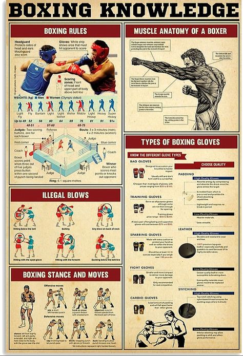 Boxing Anatomy, Boxing Knowledge, Ekko League Of Legends, Boxing Workout Routine, Fighter Workout, Boxing Training Workout, Mixed Martial Arts Training, Knowledge Poster, Boxing Techniques