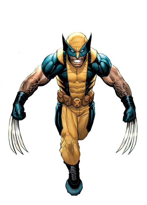 Wolverine (Logan) by Frank Cho Wolverine Artwork, Logan Howlett, Wolverine Logan, Marvel Wolverine, Xmen Art, Wolverine Comic, Frank Cho, Marvel Cards, Wolverine Art