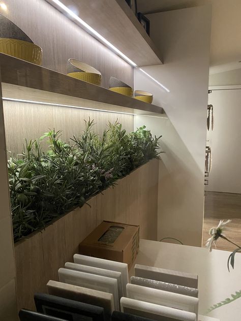 Built in plant shelf Built In Plant Shelf, Built In Planters Indoor, Green Kitchens, Plant Shelf, Plant Shelves, Green Kitchen, Open Shelving, House Ideas, Kitchens