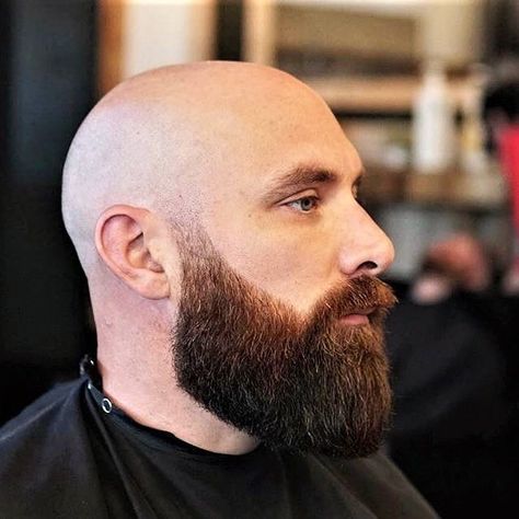 beard style • Instagram Long Beard Styles For Bald Men, Bald With Beard Style, Bald And Bearded Men, Beard Bald, Beard Styles Bald, Bald Head With Beard, Bald Haircut, Shaved Head With Beard, Balding Men