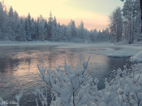 Winter Scenery, Winter Pictures, Winter Wonder, Winter Solstice, Winter Aesthetic, Aesthetic Images, Pics Art, Nature Aesthetic, Winter Landscape